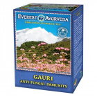 Everest Ayurveda Gauri candida és bőrgomba tea 100g 