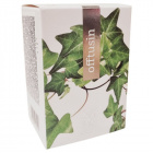 Energy Offtusin tabletta 60db 