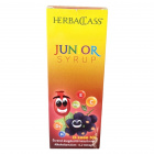 HerbaClass Junior Syrup 250ml 