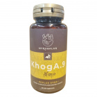 Myrobalan KhogA.9 - gyomorégés, reflux elleni kapszula 60db 